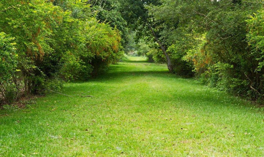 jardines botánicos en javea