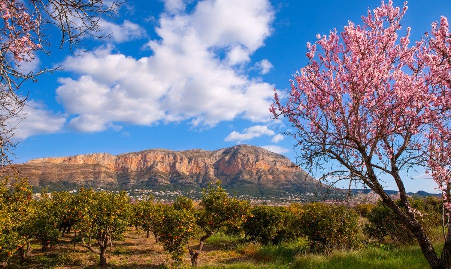 clima ideal todo el año en javea